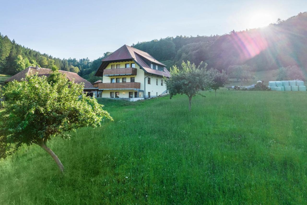 Ferienwohnung Ohnemus Schuttertal Extérieur photo